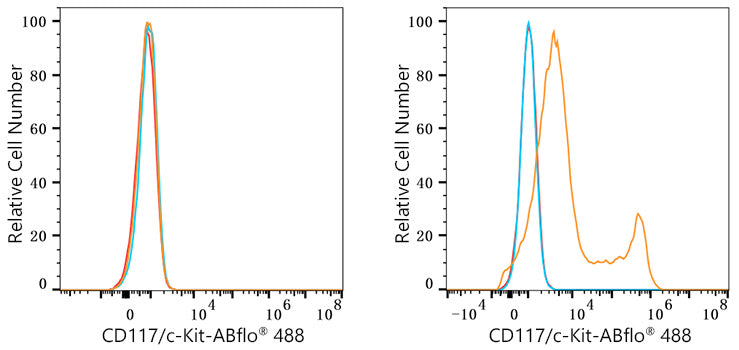ABflo® 488 Rabbit anti-Mouse CD117/c-Kit mAb