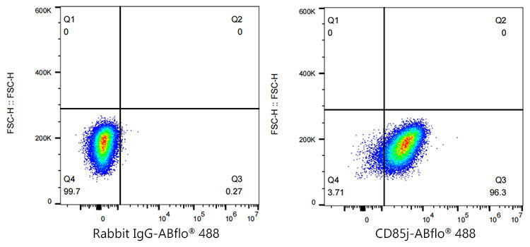 ABflo® 488 Rabbit anti-Human CD85j/ILT2 mAb