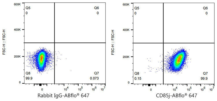 ABflo® 647 Rabbit anti-Human CD85j/ILT2 mAb