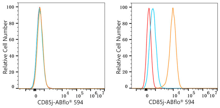 ABflo® 594 Rabbit anti-Human CD85j/ILT2 mAb