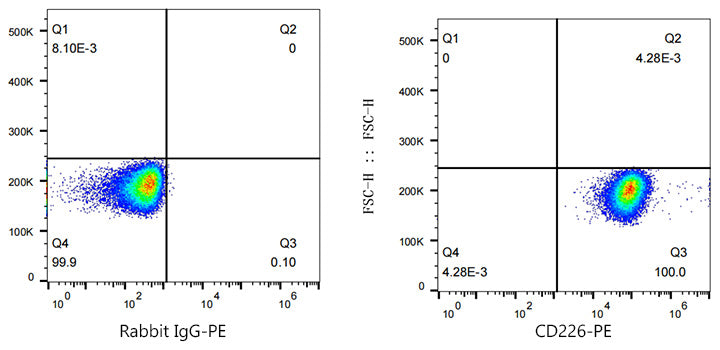 PE Rabbit anti-Human CD226/DNAM-1 mAb