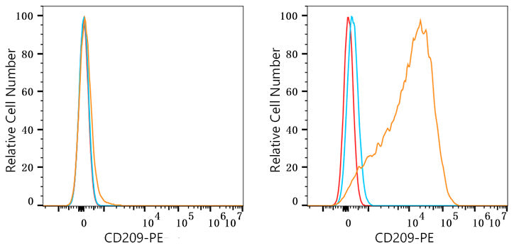 PE Rabbit anti-Human CD209/DC-SIGN mAb