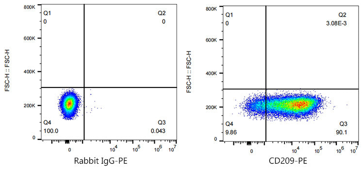 PE Rabbit anti-Human CD209/DC-SIGN mAb