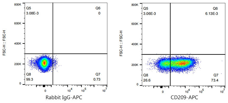 APC Rabbit anti-Human CD209/DC-SIGN mAb