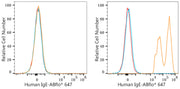 ABflo® 647 Rabbit anti-Human IgE mAb