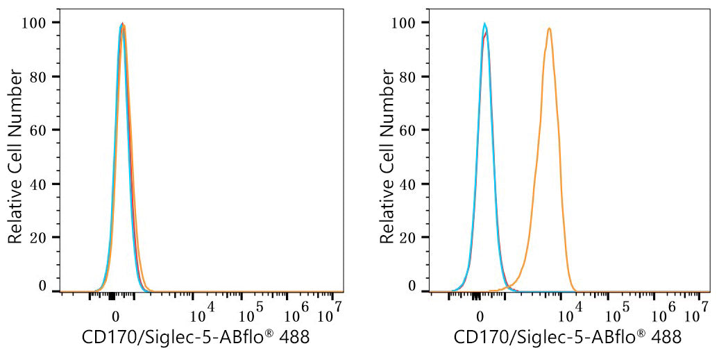 ABflo® 488 Rabbit anti-Human CD170/Siglec-5 mAb