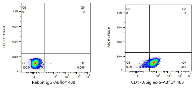 ABflo® 488 Rabbit anti-Human CD170/Siglec-5 mAb