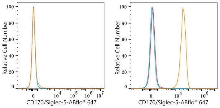 ABflo® 647 Rabbit anti-Human CD170/Siglec-5 mAb
