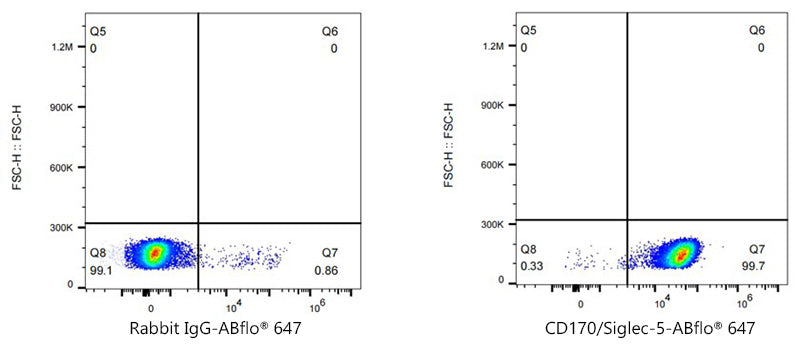 ABflo® 647 Rabbit anti-Human CD170/Siglec-5 mAb