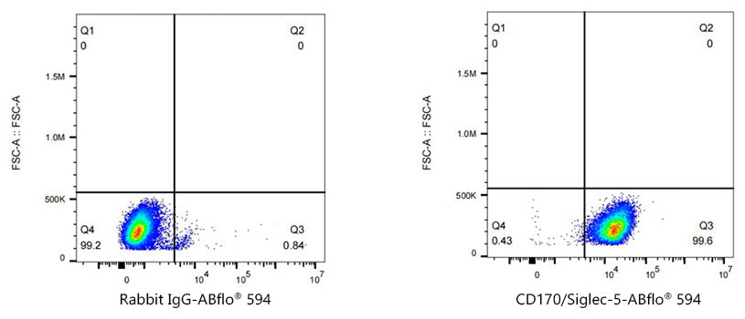 ABflo® 594 Rabbit anti-Human CD170/Siglec-5 mAb