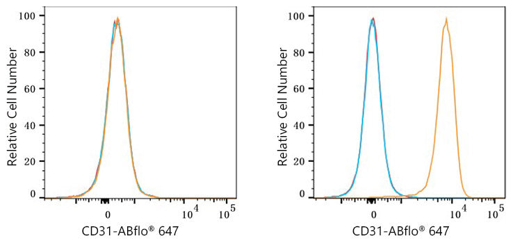 ABflo® 647 Rabbit anti-Mouse/Rat CD31/PECAM1 mAb