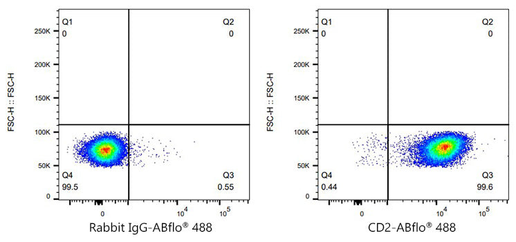 ABflo® 488 Rabbit anti-Mouse CD2 mAb