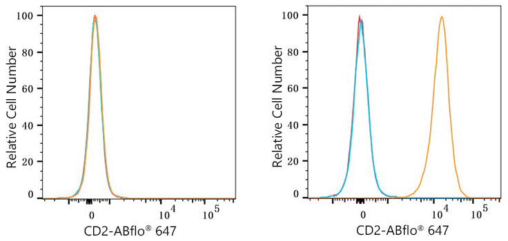 ABflo® 647 Rabbit anti-Mouse CD2 mAb