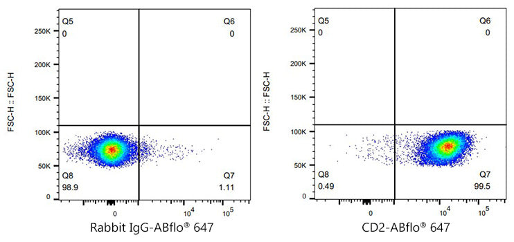 ABflo® 647 Rabbit anti-Mouse CD2 mAb