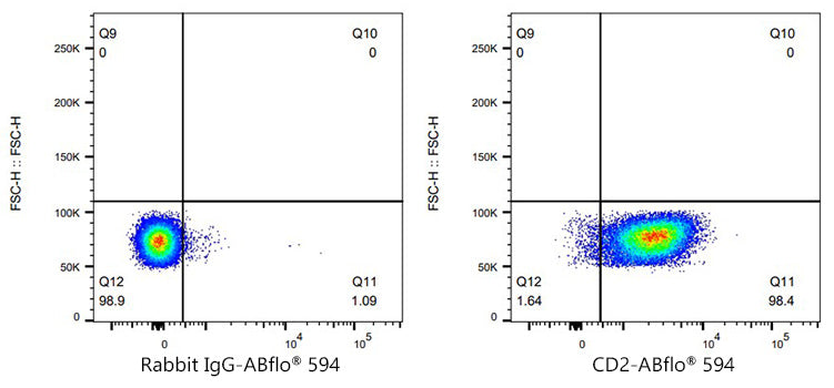 ABflo® 594 Rabbit anti-Mouse CD2 mAb