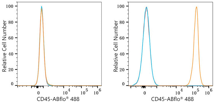 ABflo® 488 Rabbit anti-Mouse CD45 mAb