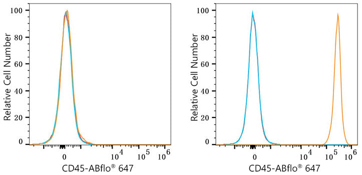 ABflo® 647 Rabbit anti-Mouse CD45 mAb
