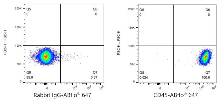 ABflo® 647 Rabbit anti-Mouse CD45 mAb