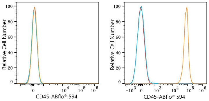 ABflo® 594 Rabbit anti-Mouse CD45 mAb