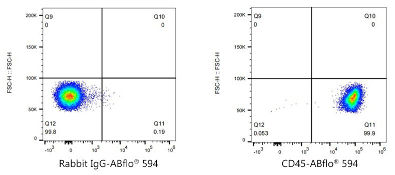 ABflo® 594 Rabbit anti-Mouse CD45 mAb