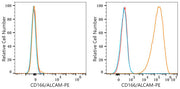 PE Rabbit anti-Human CD166/ALCAM mAb