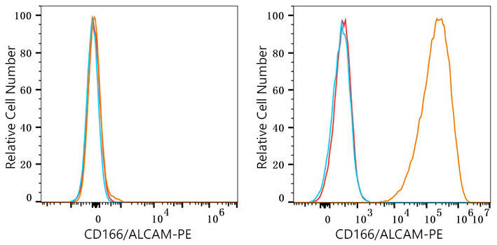 PE Rabbit anti-Human CD166/ALCAM mAb