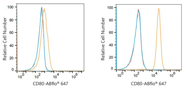 ABflo® 647 Rabbit anti-Human CD80/B7-1 mAb