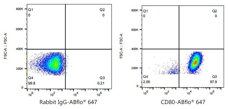 ABflo® 647 Rabbit anti-Human CD80/B7-1 mAb