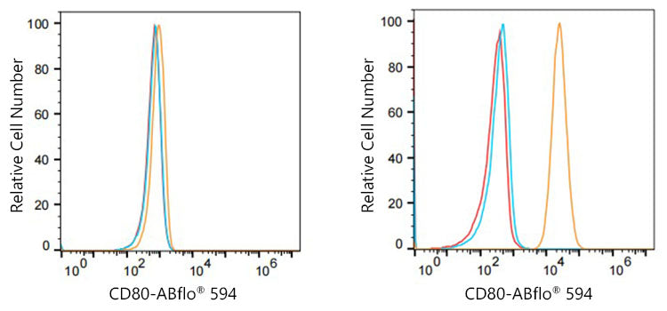 ABflo® 594 Rabbit anti-Human CD80/B7-1 mAb