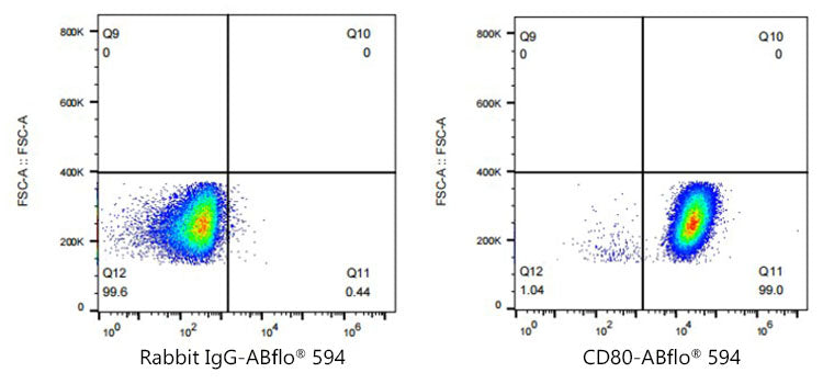 ABflo® 594 Rabbit anti-Human CD80/B7-1 mAb