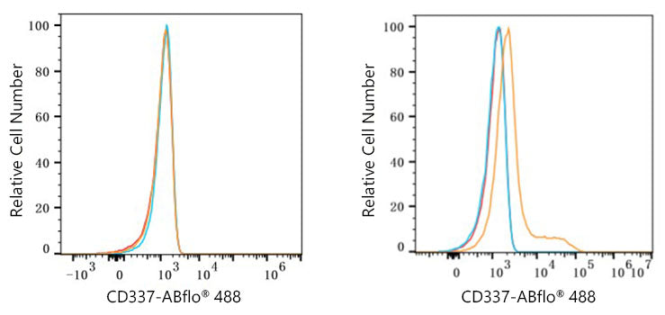ABflo® 488 Rabbit anti-Human CD337/NKp30 mAb