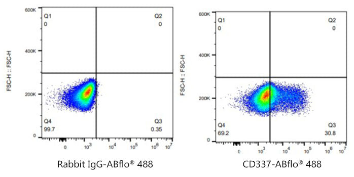 ABflo® 488 Rabbit anti-Human CD337/NKp30 mAb