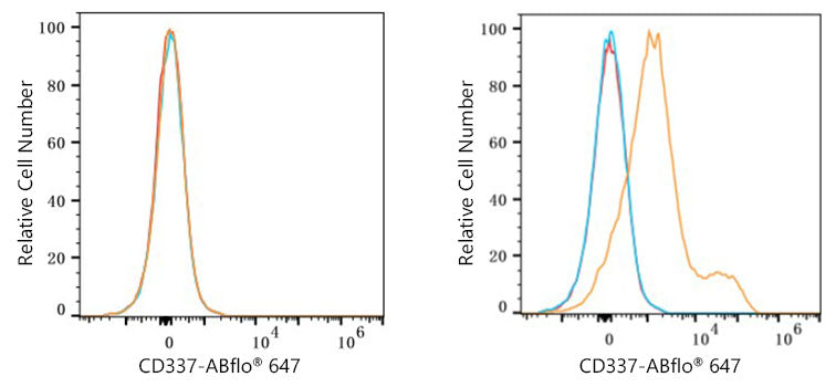 ABflo® 647 Rabbit anti-Human CD337/NKp30 mAb