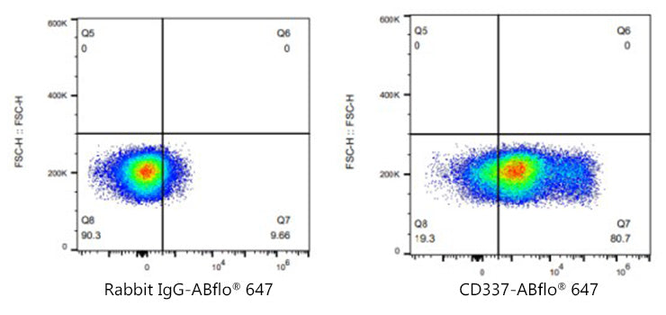 ABflo® 647 Rabbit anti-Human CD337/NKp30 mAb