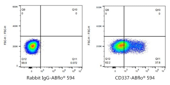 ABflo® 594 Rabbit anti-Human CD337/NKp30 mAb