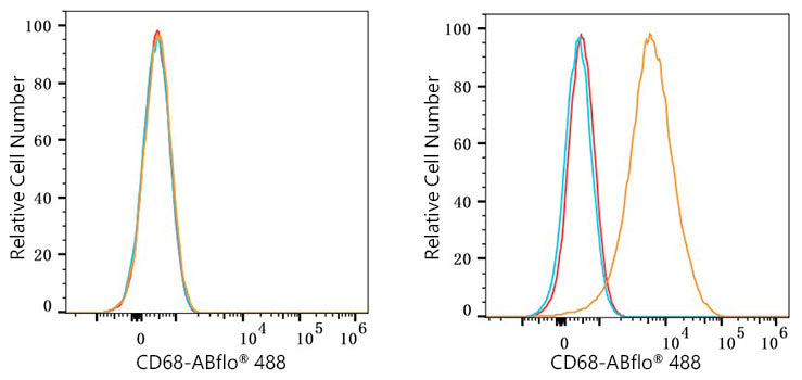 ABflo® 488 Rabbit anti-Mouse CD68 mAb