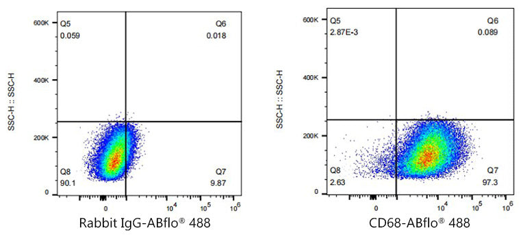 ABflo® 488 Rabbit anti-Mouse CD68 mAb