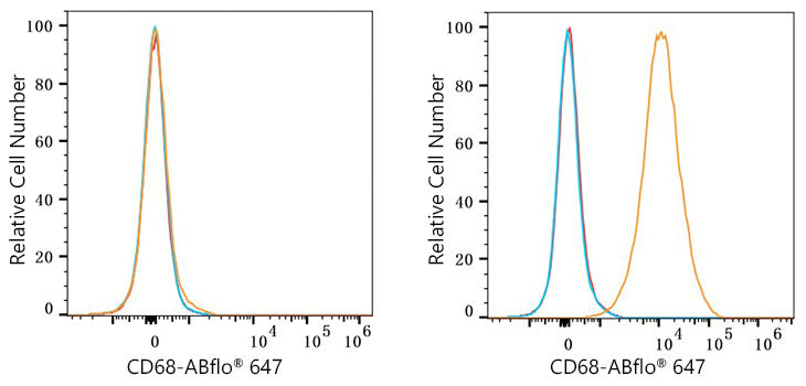 ABflo® 647 Rabbit anti-Mouse CD68 mAb