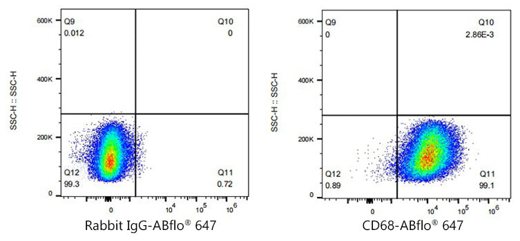 ABflo® 647 Rabbit anti-Mouse CD68 mAb
