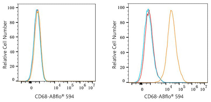 ABflo® 594 Rabbit anti-Mouse CD68 mAb