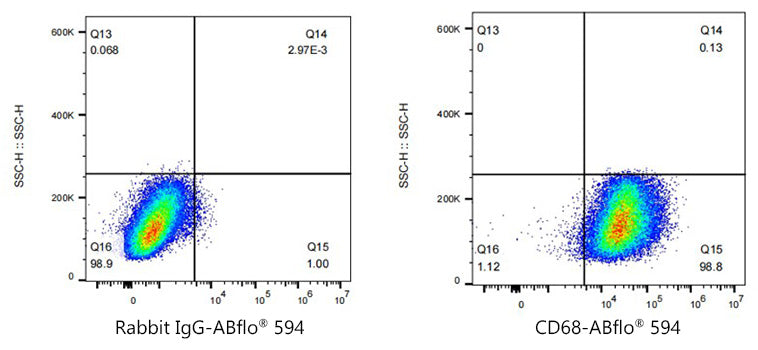ABflo® 594 Rabbit anti-Mouse CD68 mAb
