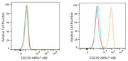 ABflo® 488 Rabbit anti-Human CD239/BCAM mAb