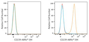 ABflo® 594 Rabbit anti-Human CD239/BCAM mAb