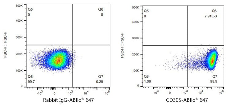 CD305/LAIR1 Rabbit mAb