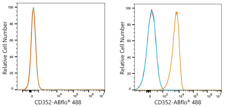 ABflo® 488 Rabbit anti-Human CD352/SLAMF6 mAb
