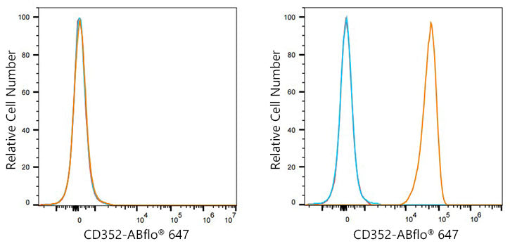 ABflo® 647 Rabbit anti-Human CD352/SLAMF6 mAb