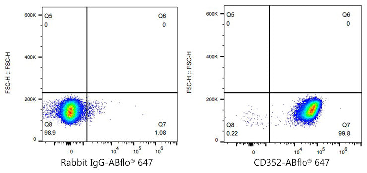 ABflo® 647 Rabbit anti-Human CD352/SLAMF6 mAb