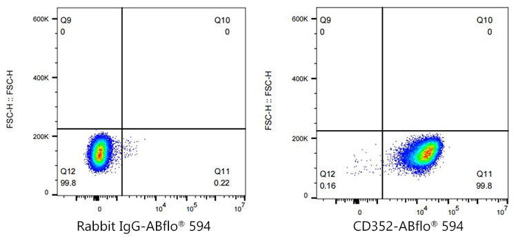 ABflo® 594 Rabbit anti-Human CD352/SLAMF6 mAb