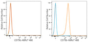 ABflo® 488 Rabbit anti-Human CD79b/Igβ mAb
