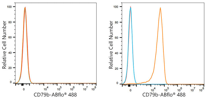 ABflo® 488 Rabbit anti-Human CD79b/Igβ mAb